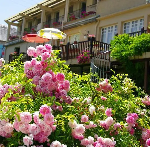Bed & Breakfast La Bonne Frayssinet
